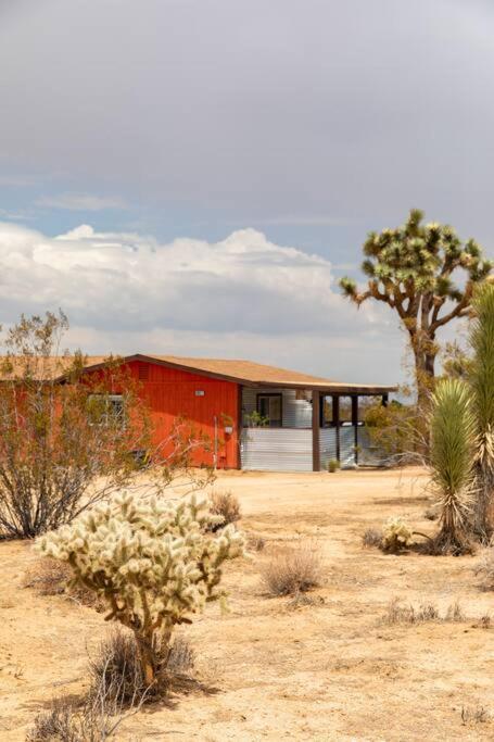 Cryptic Cabin-Tranquil Bohemian Getaway W/Hot Tub يوككا فالي المظهر الخارجي الصورة